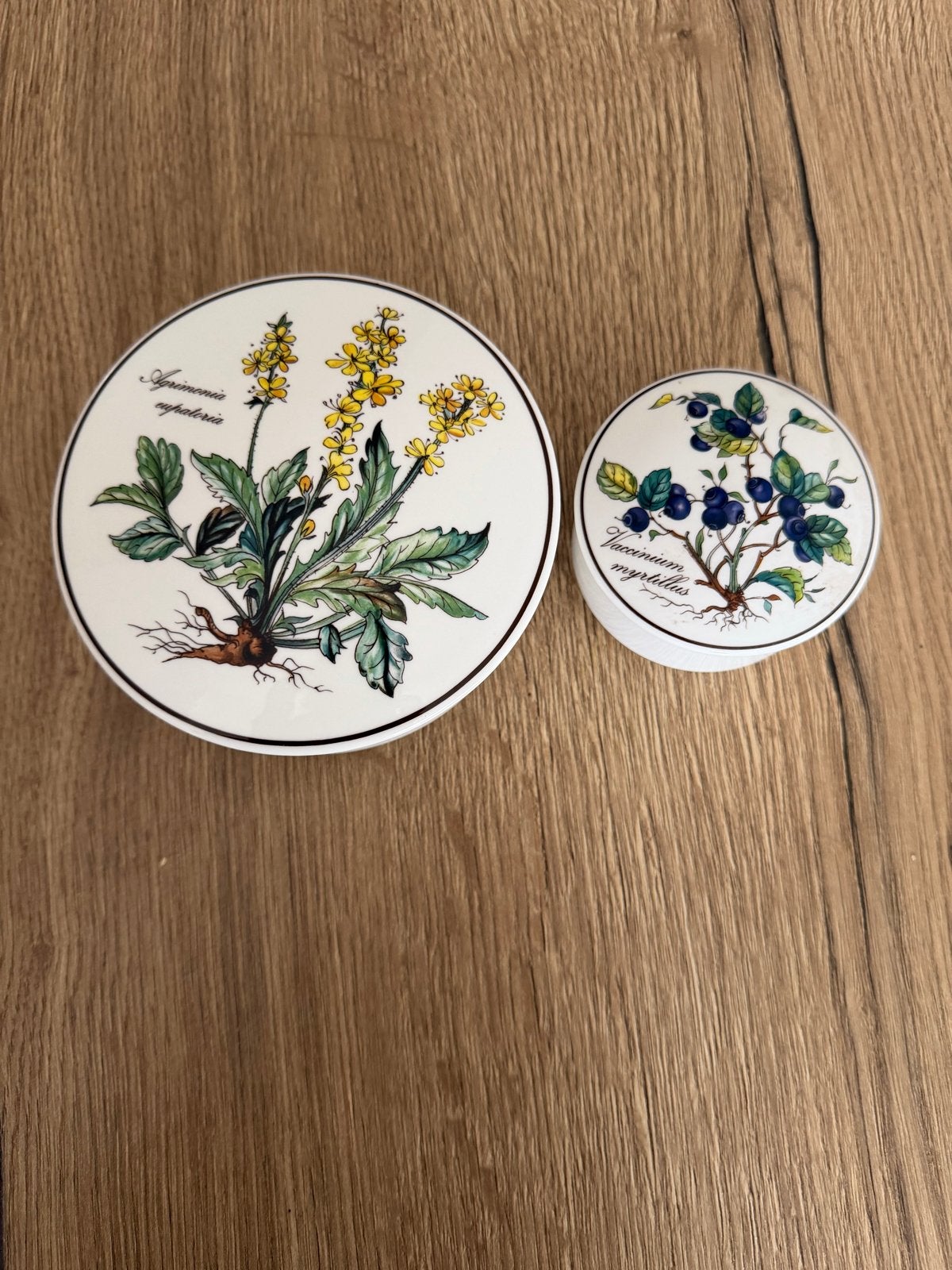 Villeroy & Boch Botanica Doosjes - Agrimonia & Bosbes, Ophalen of Verzenden