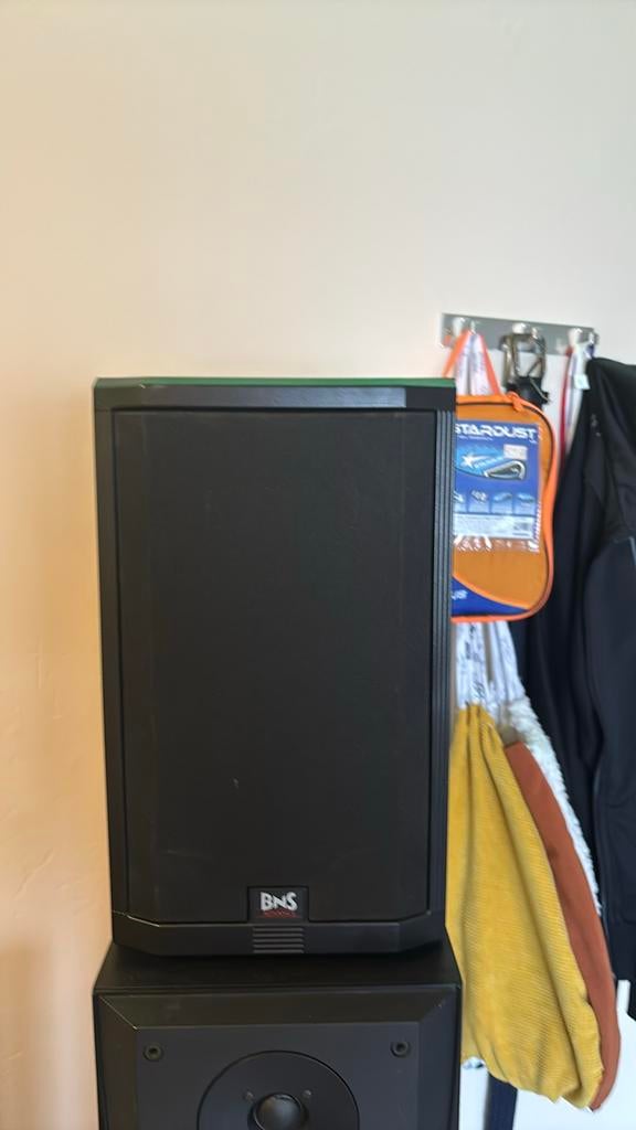 BNS Advance A-33 Speakers - Set van 2, Audio, Tv en Foto, Luidsprekers, Overige merken, Gebruikt, Ophalen of Verzenden, 60 tot 120 watt