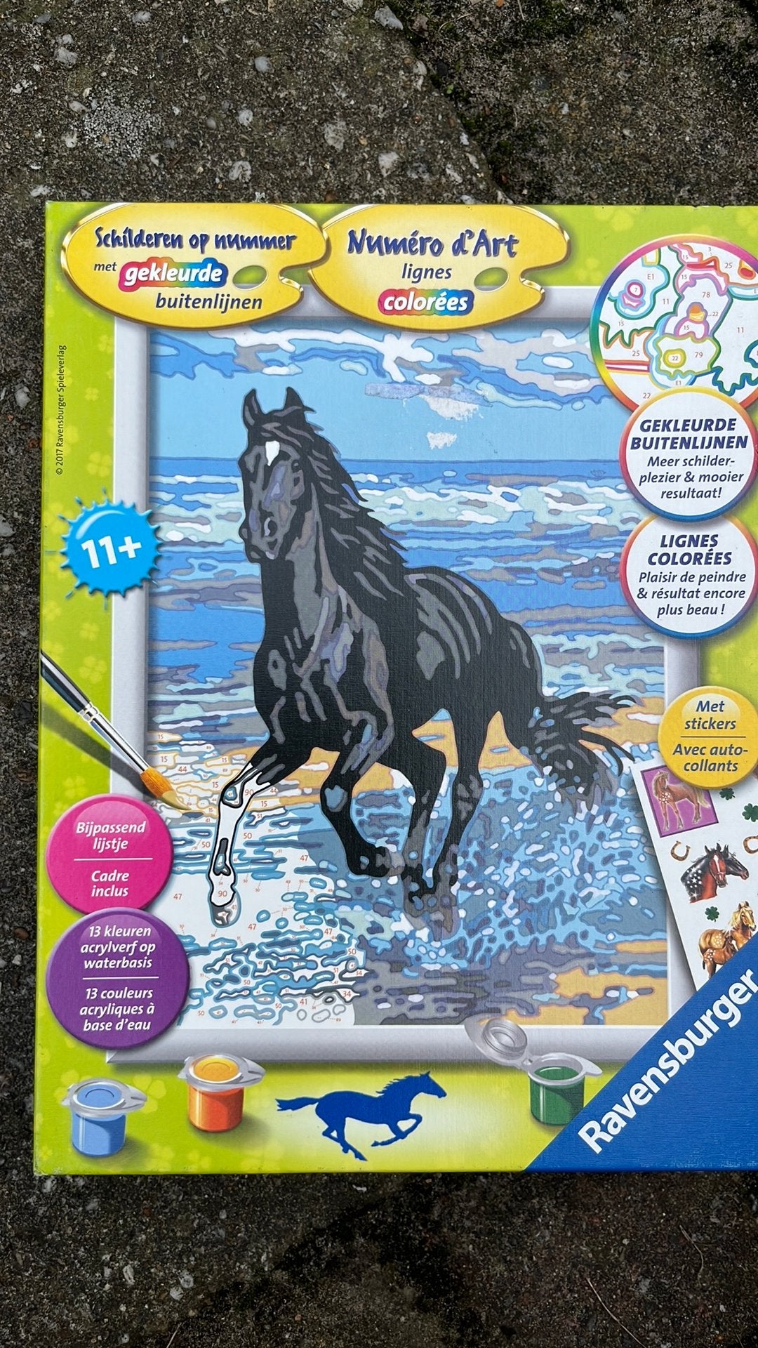 Schilderen op nummer paard, Ophalen of Verzenden, Nieuw