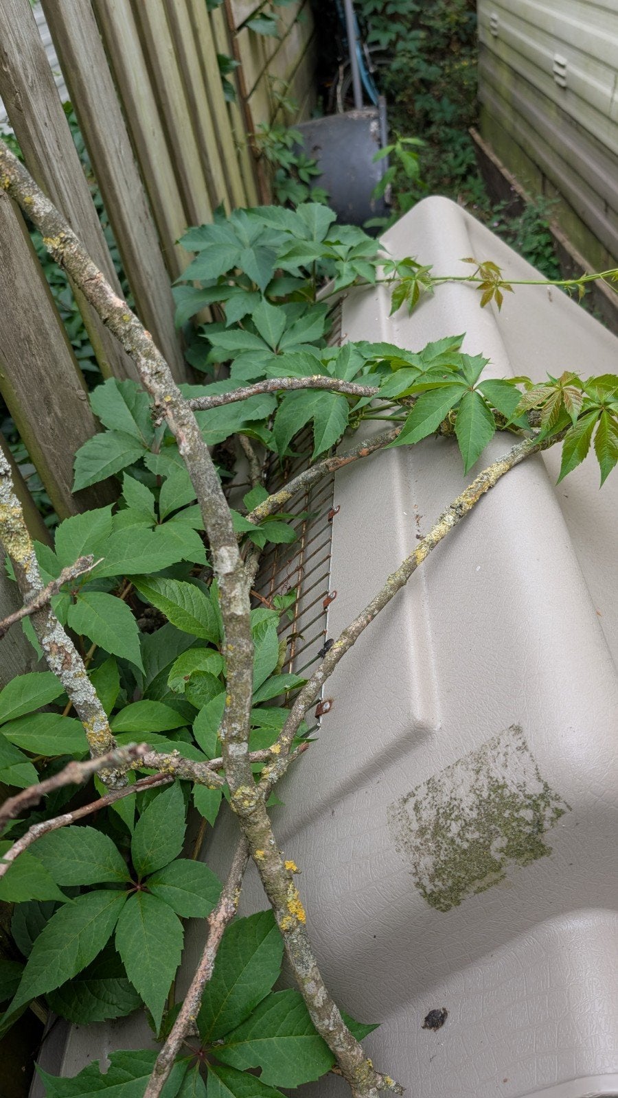 vliegtuigbench xxl hondenbench, Dieren en Toebehoren, Ophalen, Gebruikt