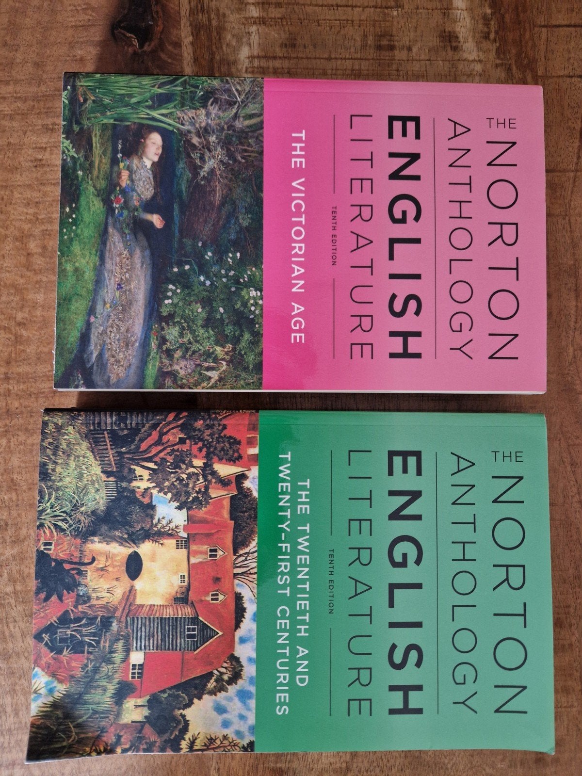 The Norton Anthology of English Literature (2 boeken), Boeken, Ophalen of Verzenden, Zo goed als nieuw, Stephen Greenblatt, Amerika