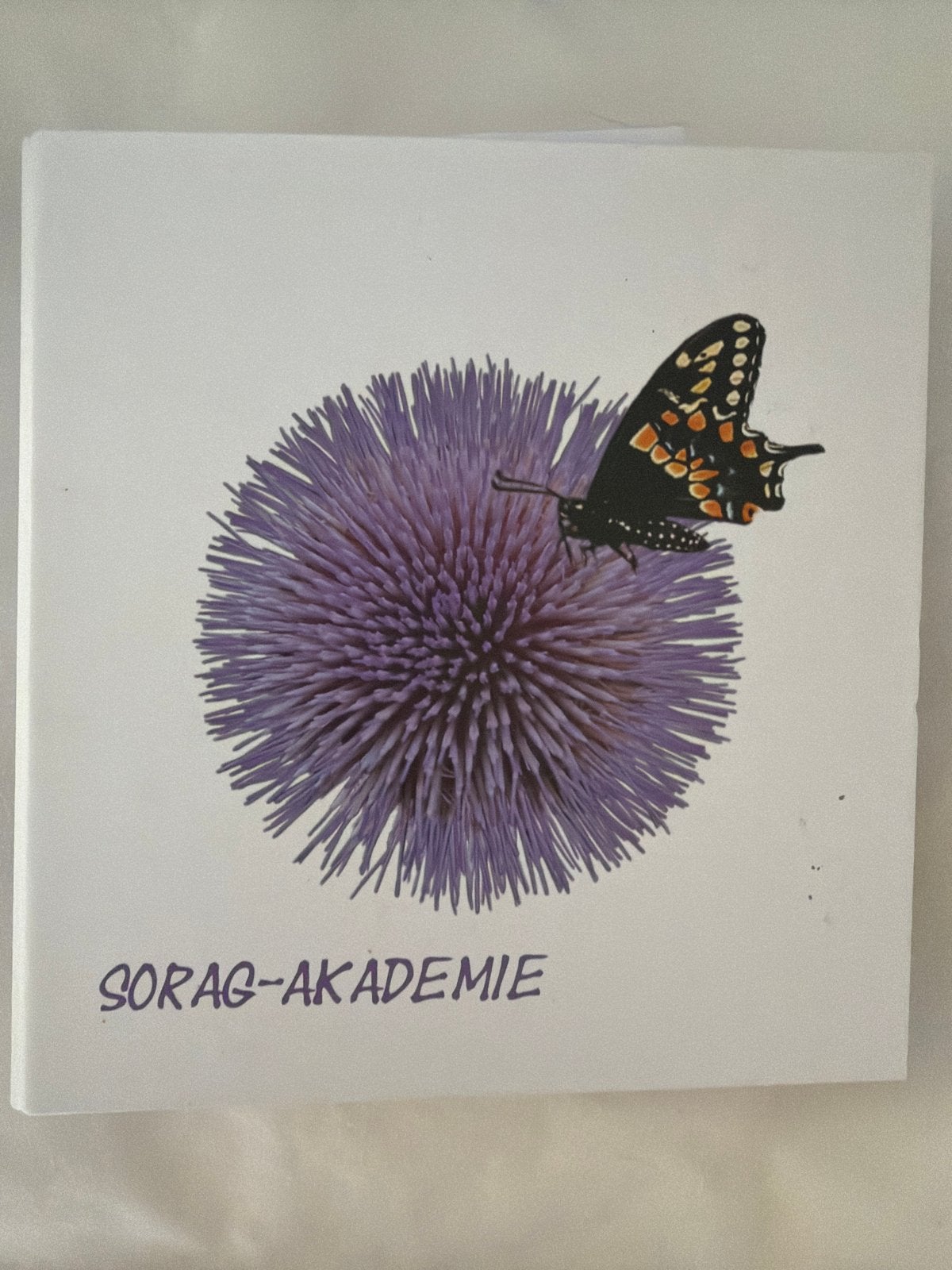 SORAG-Akademie Pubercoaching cursusmateriaal, Boeken, Studieboeken en Cursussen, Ophalen of Verzenden, Gamma, Nieuw, Overige niveaus
