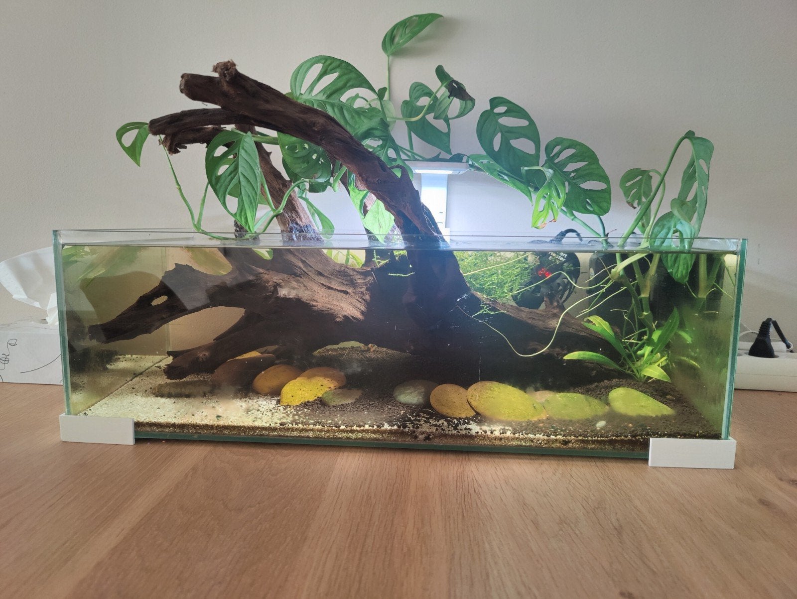 laag aquarium compleet, Ophalen