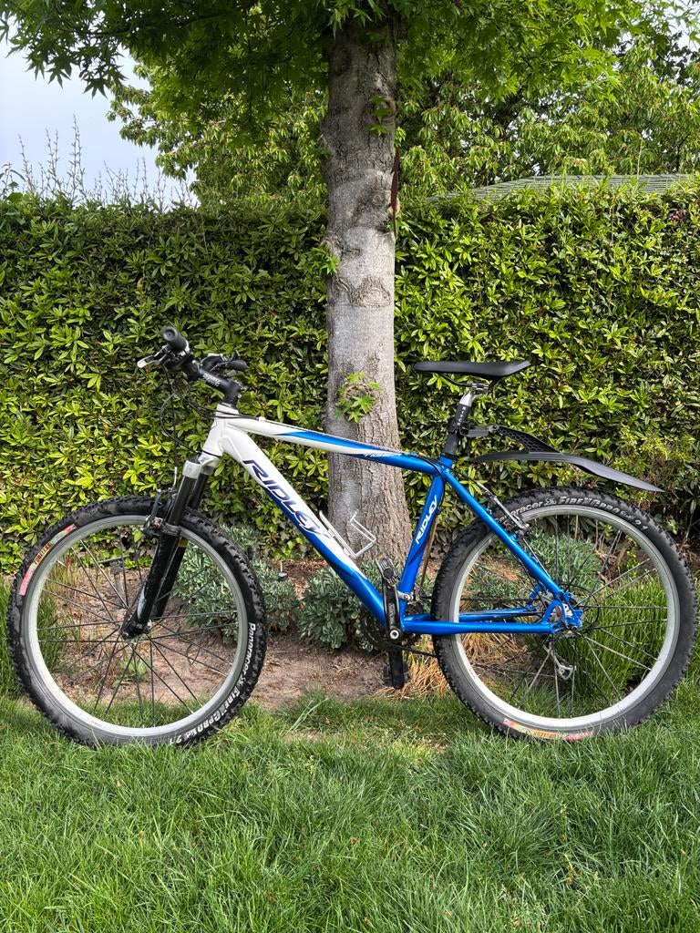 Ridley tiger Mountainbike, Gebruikt, Hardtail, 49 tot 53 cm, Ophalen