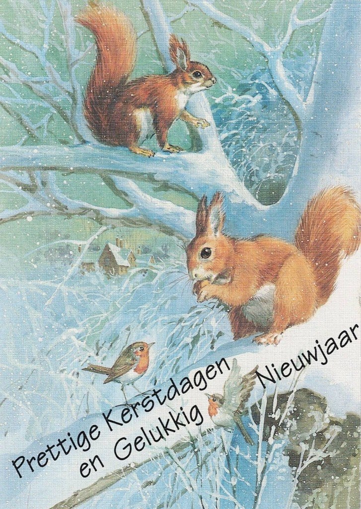2 eekhoorns met roodborstje 177, Verzamelen, Ansichtkaarten | Dieren, Verzenden, 1980 tot heden, Gelopen, Knaagdier
