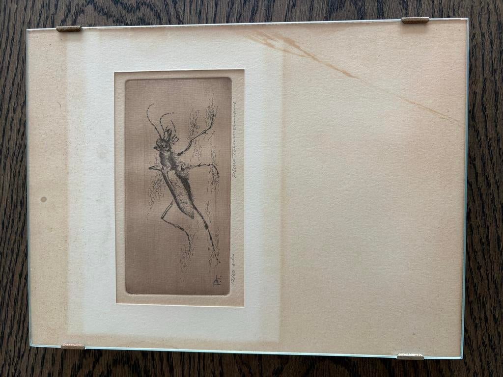 Originele ets van Pierre Timmermans - Kever, Antiek en Kunst, Kunst | Etsen en Gravures, Ophalen of Verzenden