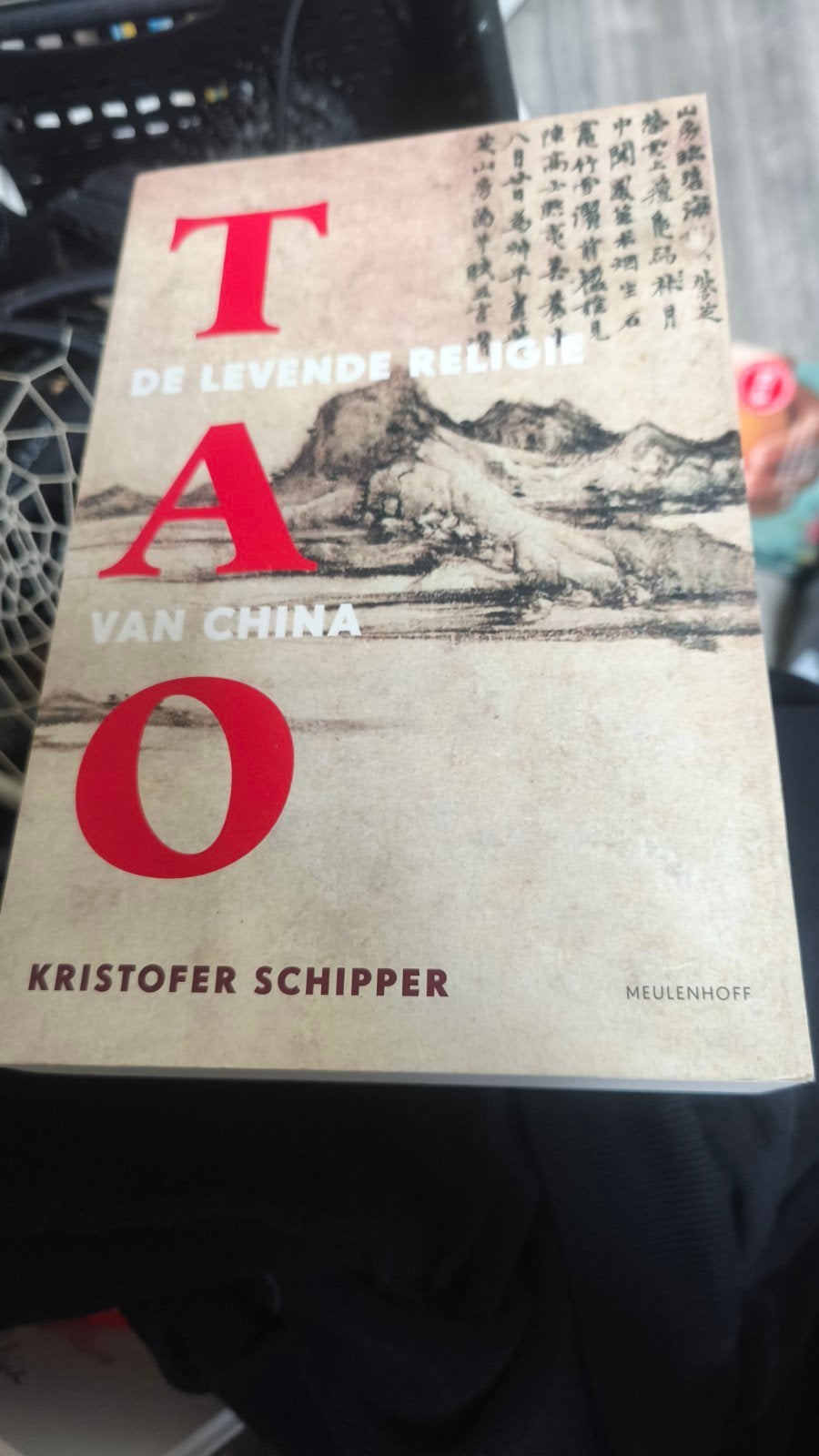 Tao: De Levende Religie van China - Kristofer Schipper, Gelezen, Achtergrond en Informatie, Spiritualiteit algemeen, Ophalen of Verzenden