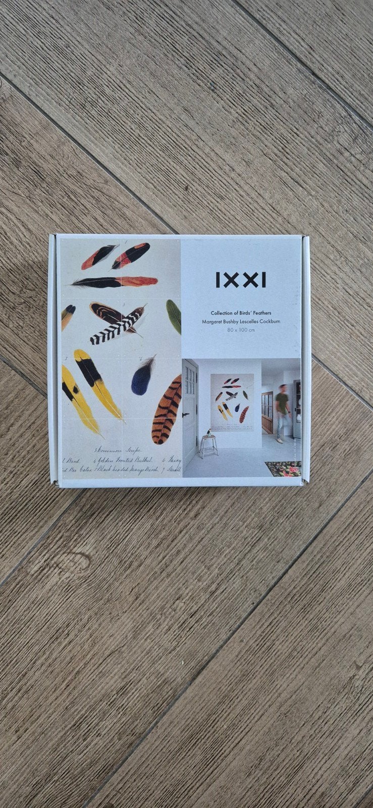 ixxi wanddecoratie veren/ feathers, Ophalen of Verzenden, Gebruikt, 80 cm, 100 cm