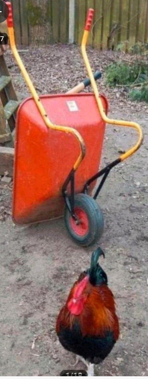 Vintage Ravendo Kruiwagen - Uitstekende Staat, Tweewielig, Ophalen of Verzenden, Handmatig, Gebruikt