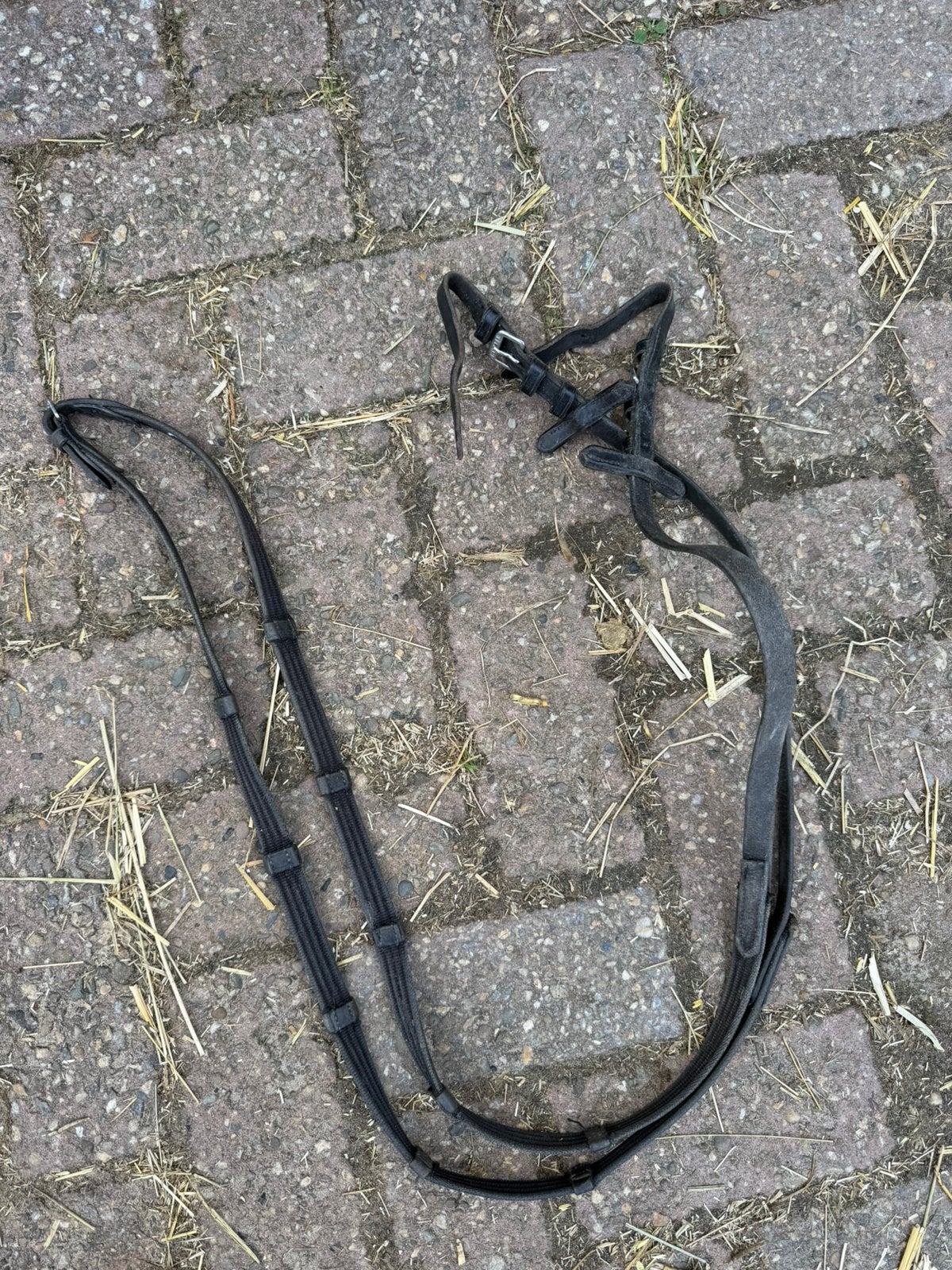 Kieffer teugels, Gebruikt, Kieffer, Ophalen of Verzenden, Zwart