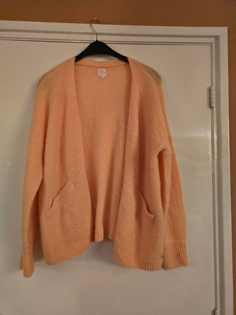Des petites hauts vest maat 3, Ophalen of Verzenden