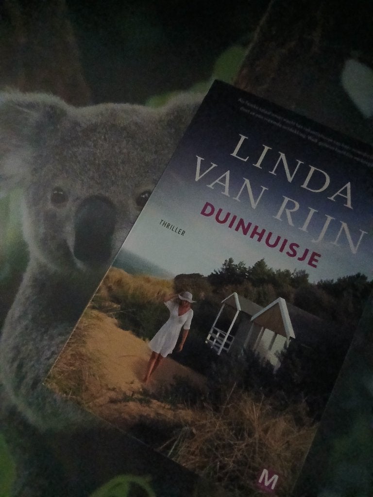 Linda van Rijn - Duinhuisje thriller - leuk boek !!, Boeken, Verzenden, Zo goed als nieuw, Linda van Rijn, Nederland