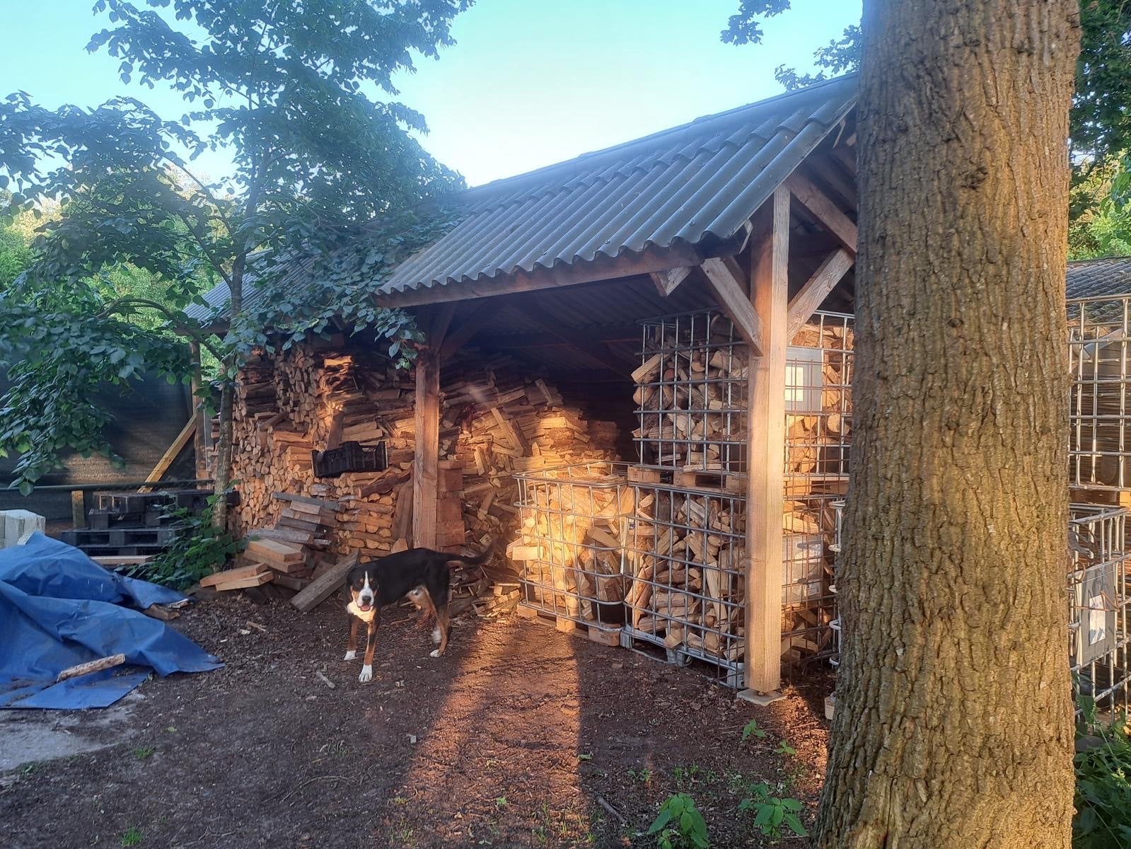 Gedemonteerde Kapschuur 8x3.5m, Ophalen of Verzenden, Gebruikt, Hout, Overige typen