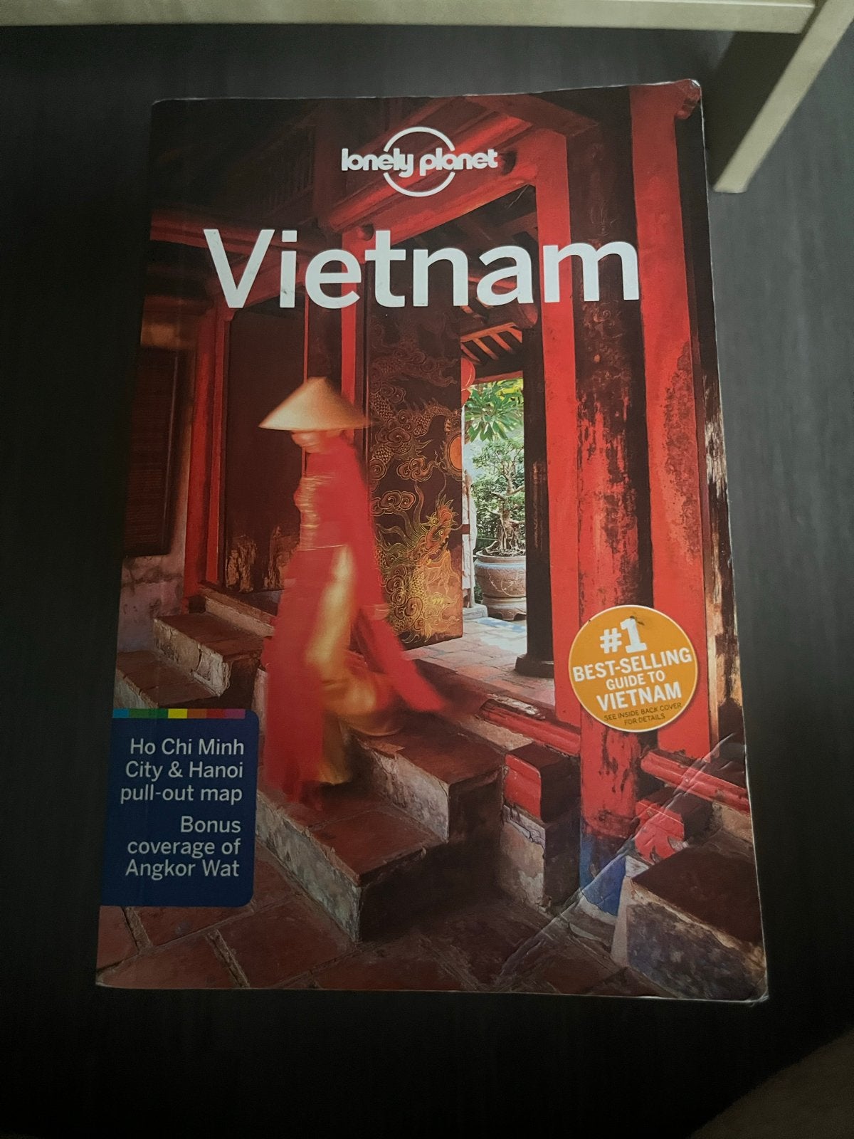 Lonely Planet Vietnam Reisgids - Ontdek Vietnam!, Gelezen, Lonely Planet, Ophalen of Verzenden, Reisgids of -boek