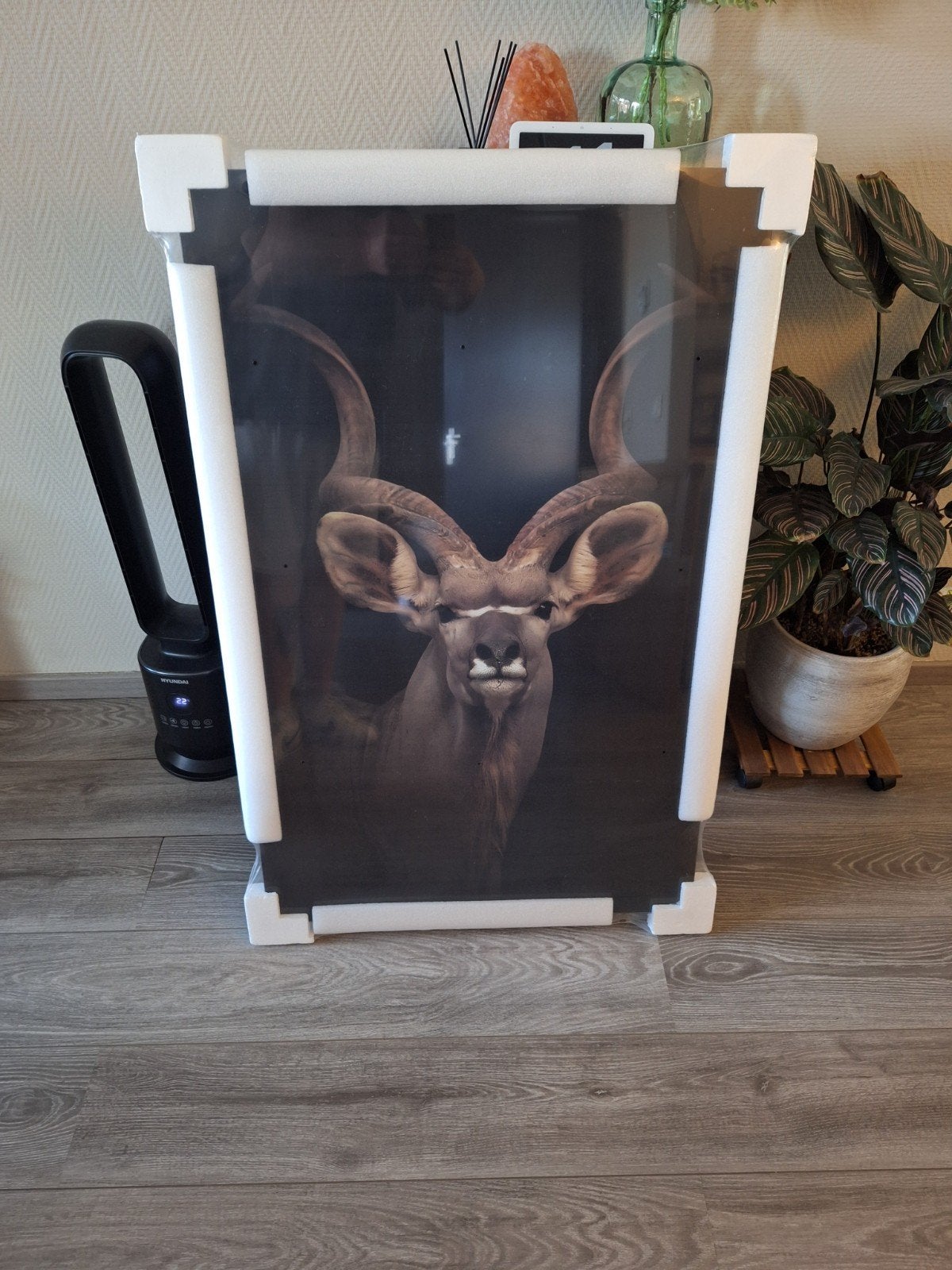 Schilderij Kudu op gehard glas - 70x110cm, Antiek en Kunst, Kunst | Schilderijen | Modern, Ophangklaar, Glas, Ophalen of Verzenden
