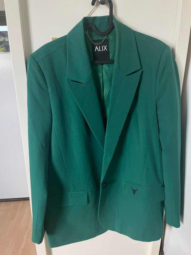 Alix the label blazer maat s, Ophalen of Verzenden, Zo goed als nieuw, Jasje, Maat 36 (S)