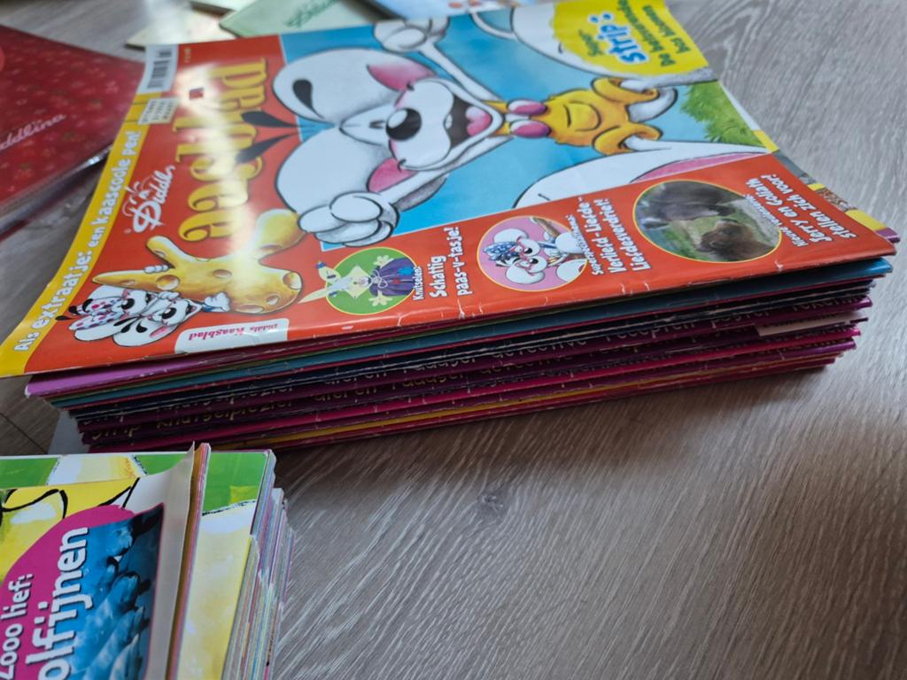 Diddl - Uitgebreide verzameling, Boeken, Ophalen of Verzenden, Gelezen