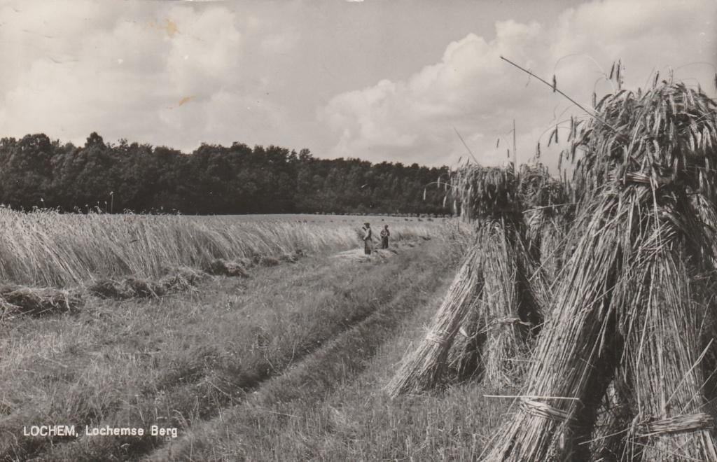 LOCHEM Lochemse Berg, Verzenden, 1960 tot 1980, Gelopen, Gelderland