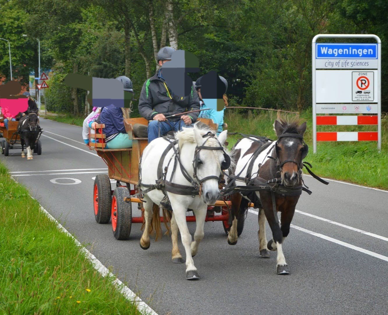 Menwagen te koop grote shetlander of A/B pony, Dieren en Toebehoren, Pony