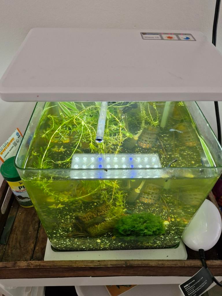 Superfish 15 liter aquarium. Incl garnalen  en vissen, Ophalen, Zo goed als nieuw