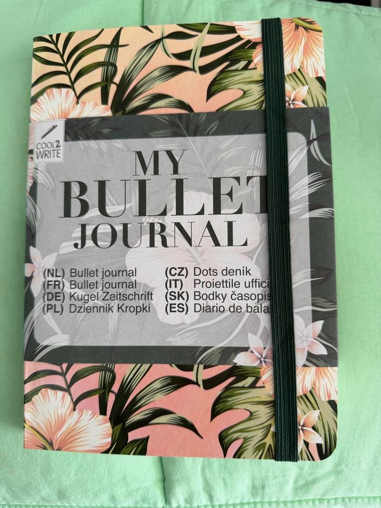 Nieuw bullet journey, Ophalen of Verzenden, Nieuw
