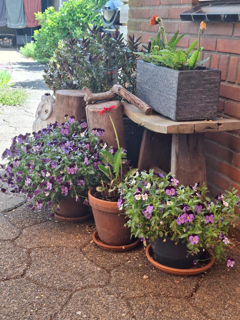 Gratis Bestrating, Gebruikt, Verzenden, Overige typen, 10 m² of meer