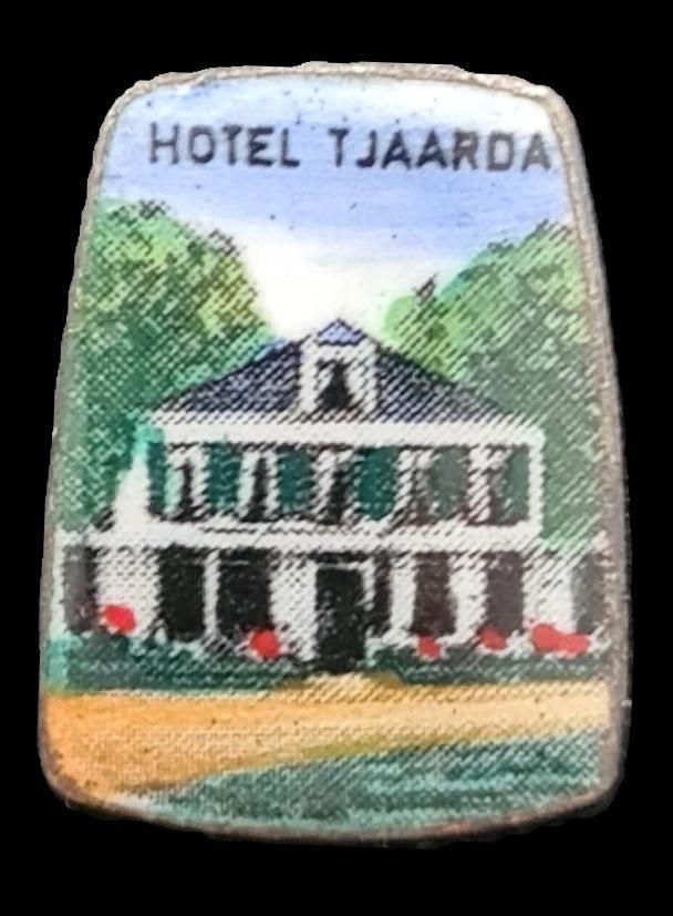 Tjaarda Oranjewoud speld, Verzamelen, Verzenden, Nieuw, Stad of Land, Speldje of Pin