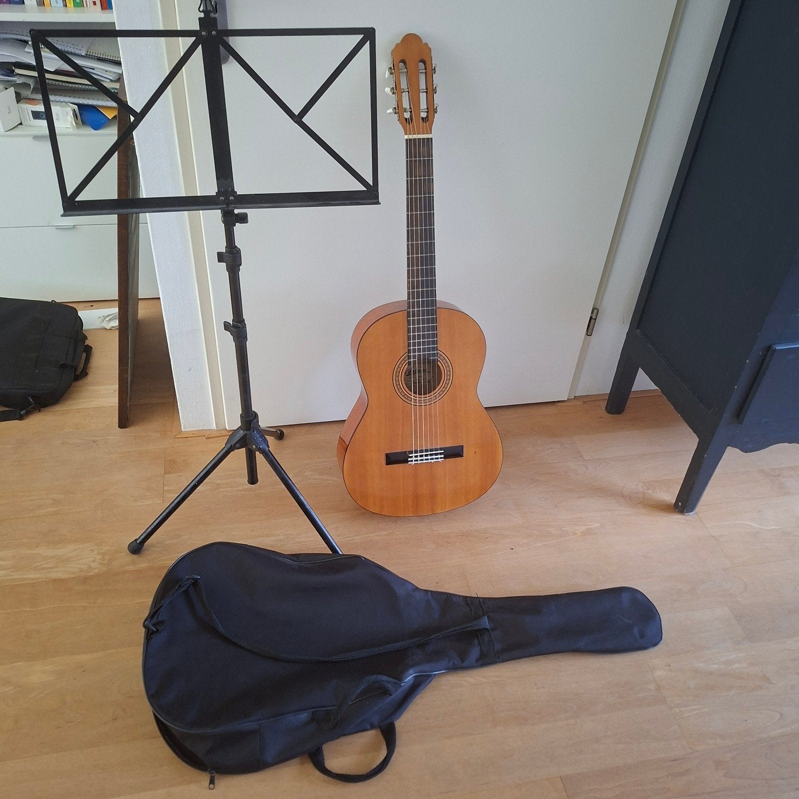 Ariana SG-20 Klassieke Gitaar met Hoes en Standaard, Ophalen, Gebruikt, Klassieke of Spaanse gitaar