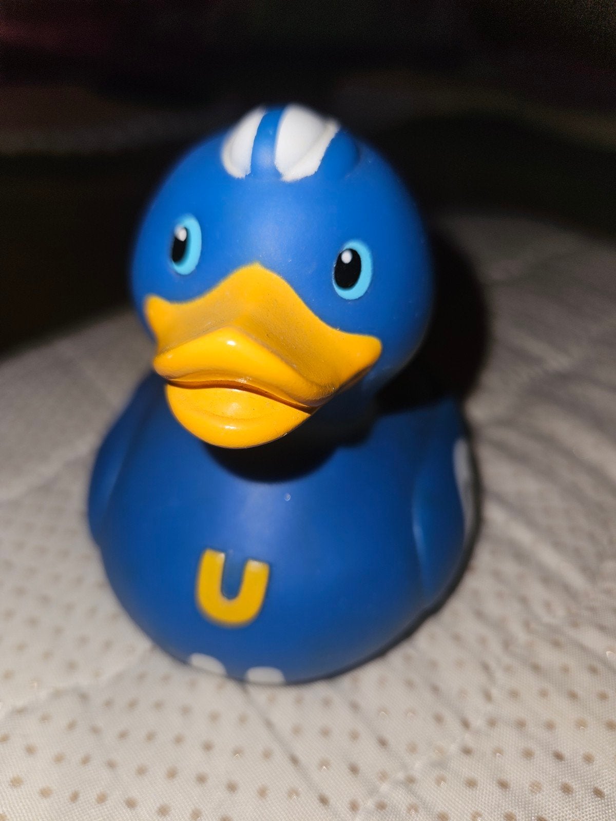 Bud Luxury Ducks Quick Duck badeend - Blauw race-eend, Ophalen of Verzenden, Gebruikt, Badeend, Bud