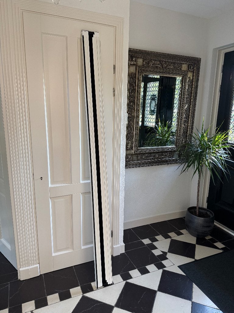 Te koop: nieuwe Bruynzeel hordeur, 100 tot 120 cm, Hordeur, Nieuw, Ophalen of Verzenden
