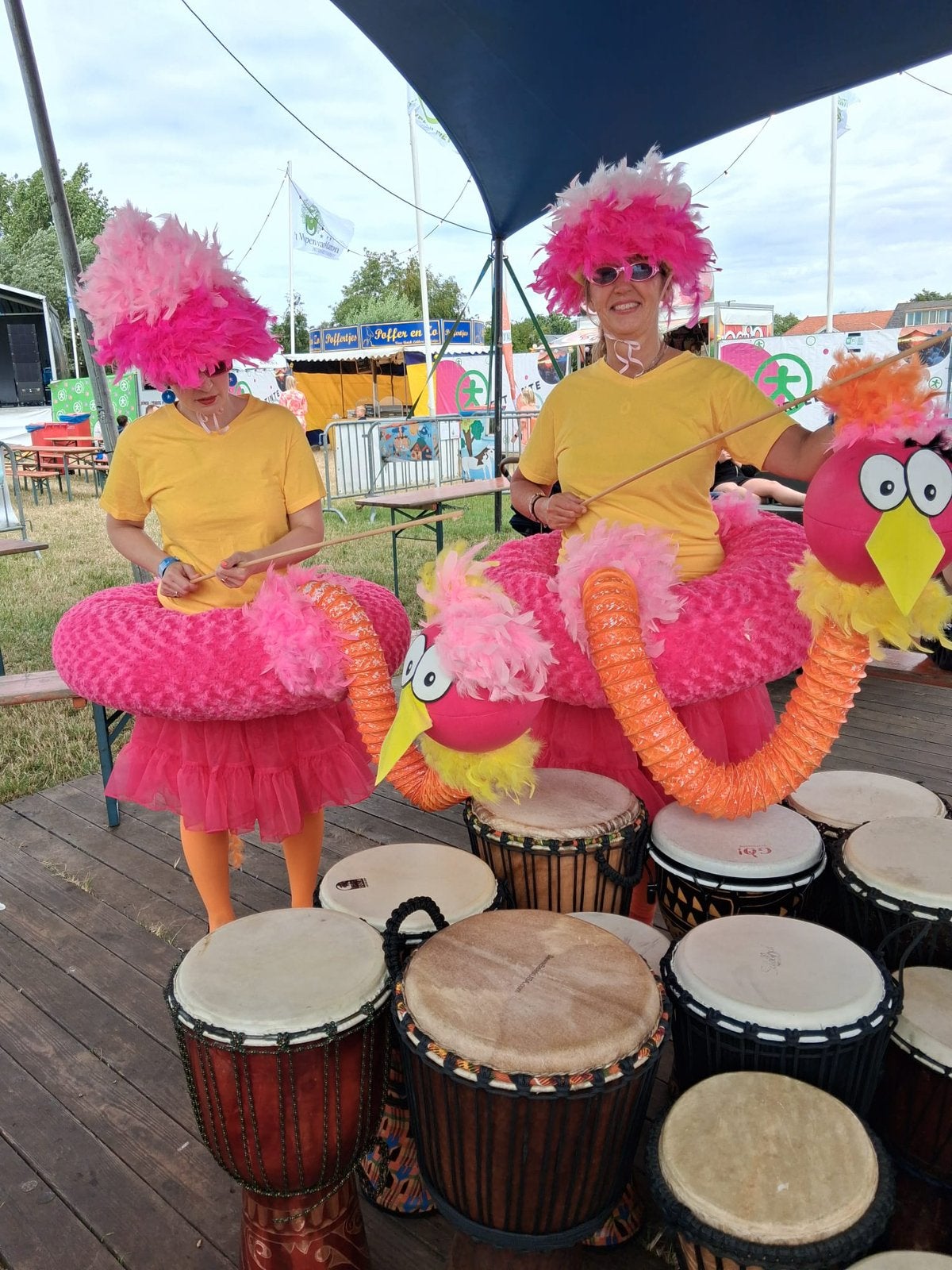 Vreemde vogels 2x (3x, zie beschrijving), Ophalen, Gebruikt, Carnaval