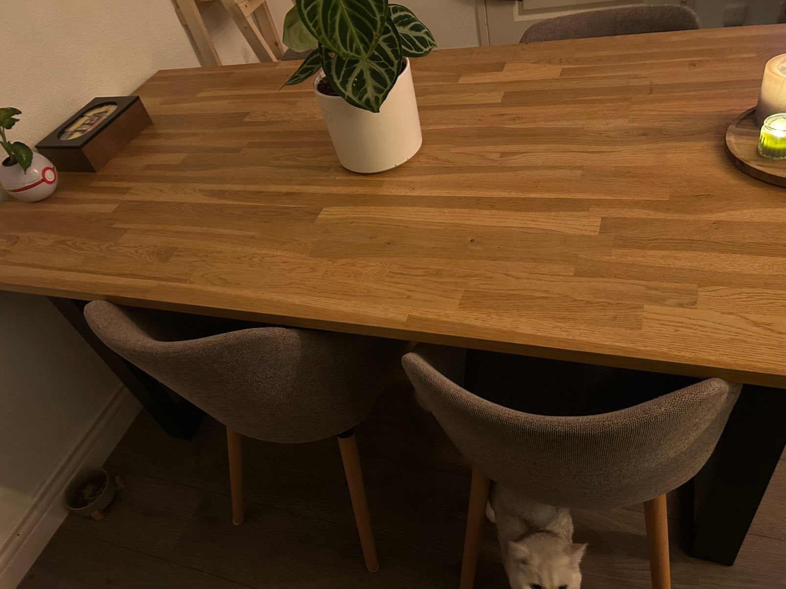 4 Eettafel stoelen, Ophalen, 50 tot 100 cm, Zo goed als nieuw, 150 tot 200 cm