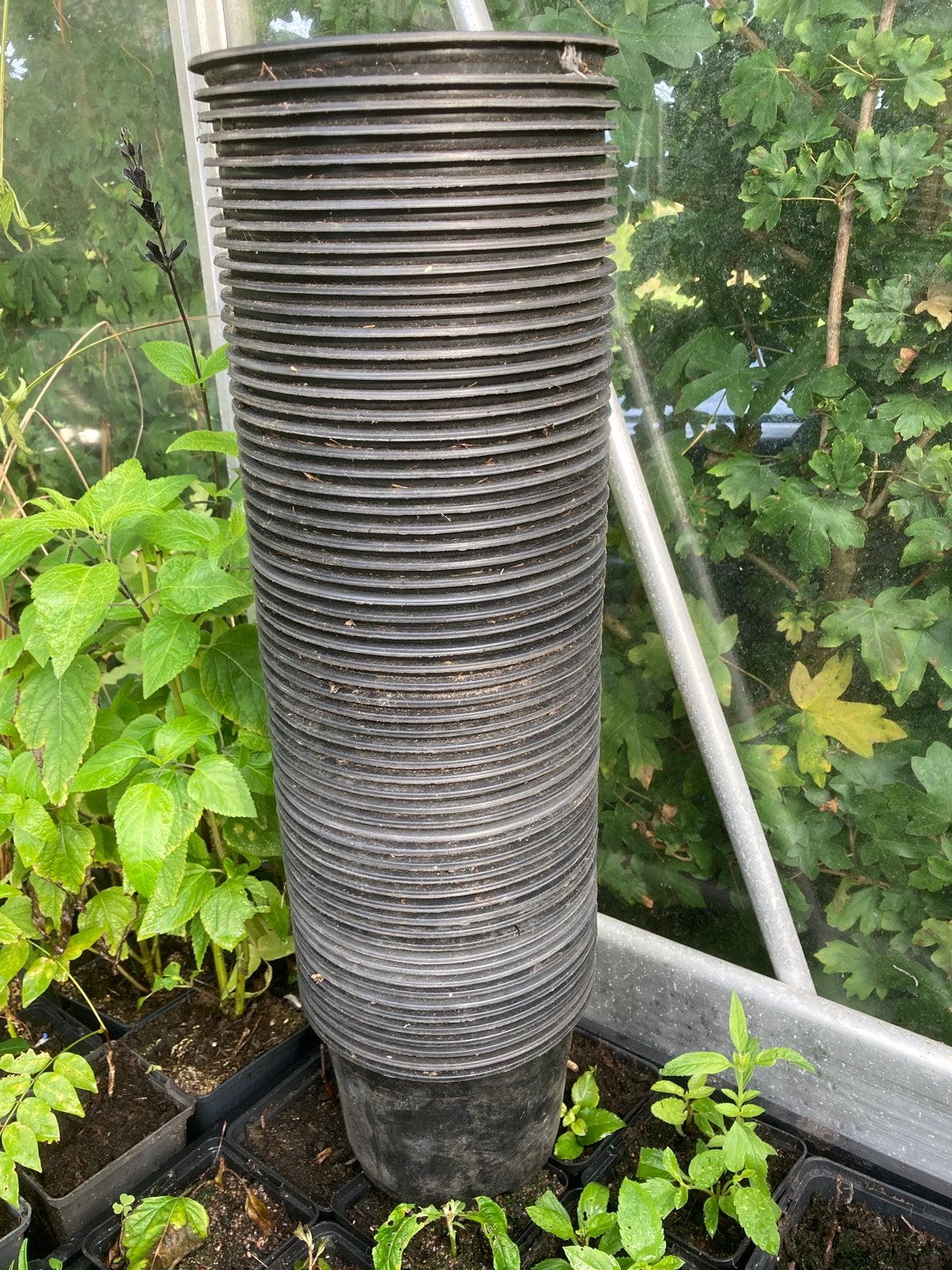 Ongeveer 60 15cm potjes zwart, Kunststof, Gebruikt, Rond, Ophalen of Verzenden