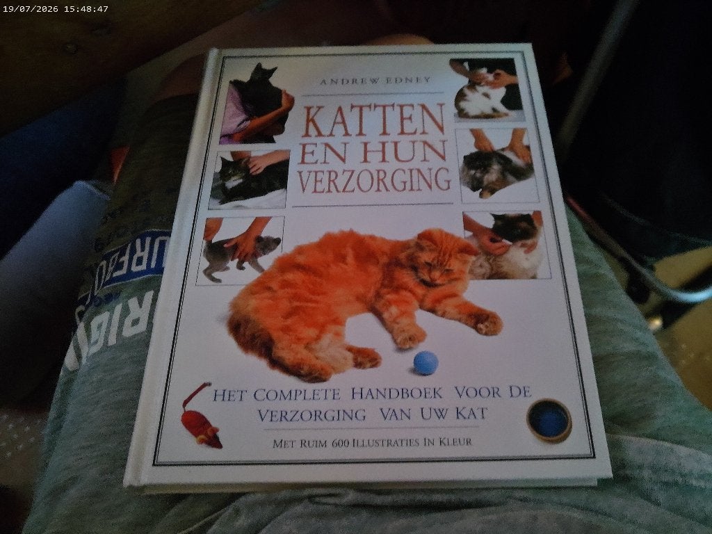 Boek Katten en hun Verzorging, Ophalen of Verzenden, Zo goed als nieuw, Katten