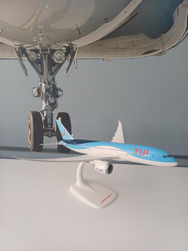 TUI Boeing 787-8, Overige merken, 1:144 tot 1:200, Ophalen of Verzenden, Zo goed als nieuw