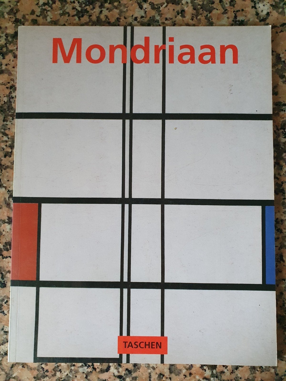 Mondriaan - Kunstboek, Ophalen of Verzenden, Zo goed als nieuw, Schilder- en Tekenkunst, Piet Mondriaan