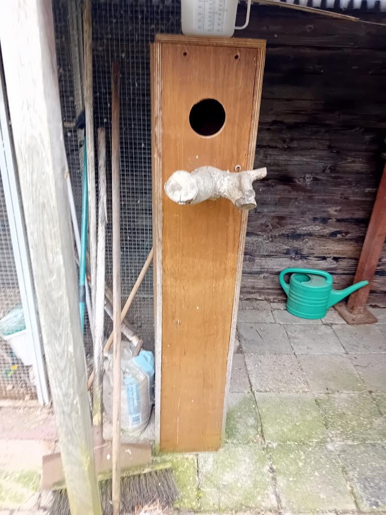 Tekoop broed blok voor koningsparkiet, Dieren en Toebehoren, Ophalen, Gebruikt, Hout, Broedkooi of Kweekkooi