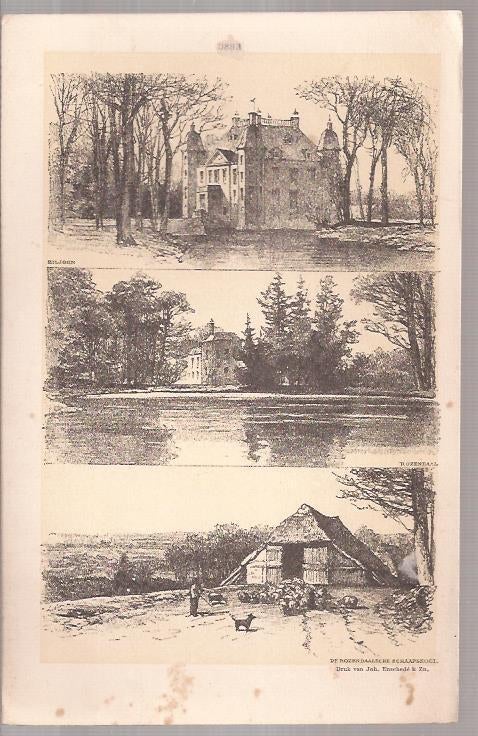 Biljoen Rozendaal De Rozendaalsche Schaapskooi Litho Schippe, Antiek en Kunst, Kunst | Etsen en Gravures, Lithografie, Blanco verso