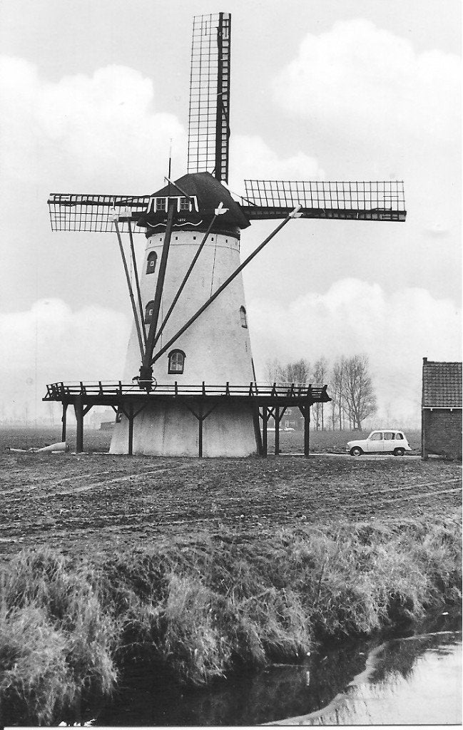 Scherpenisse: Korenmolen "De Korenbloem" - Ansichtkaart, Verzamelen, Ansichtkaarten | Nederland, Ophalen of Verzenden, 1960 tot 1980