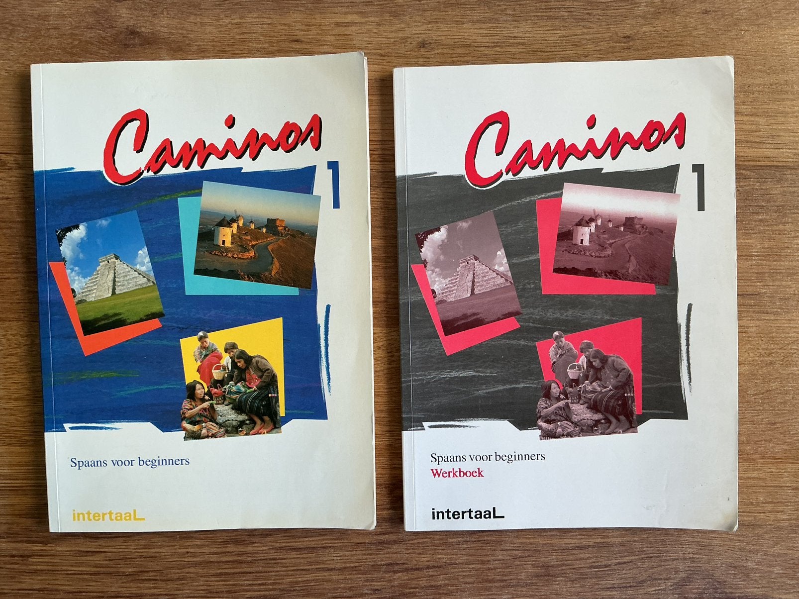Caminos Spaans Intertaal deel 1 grammatica + werkboek Nieuw, Ophalen of Verzenden, Alpha, Nieuw, Overige niveaus
