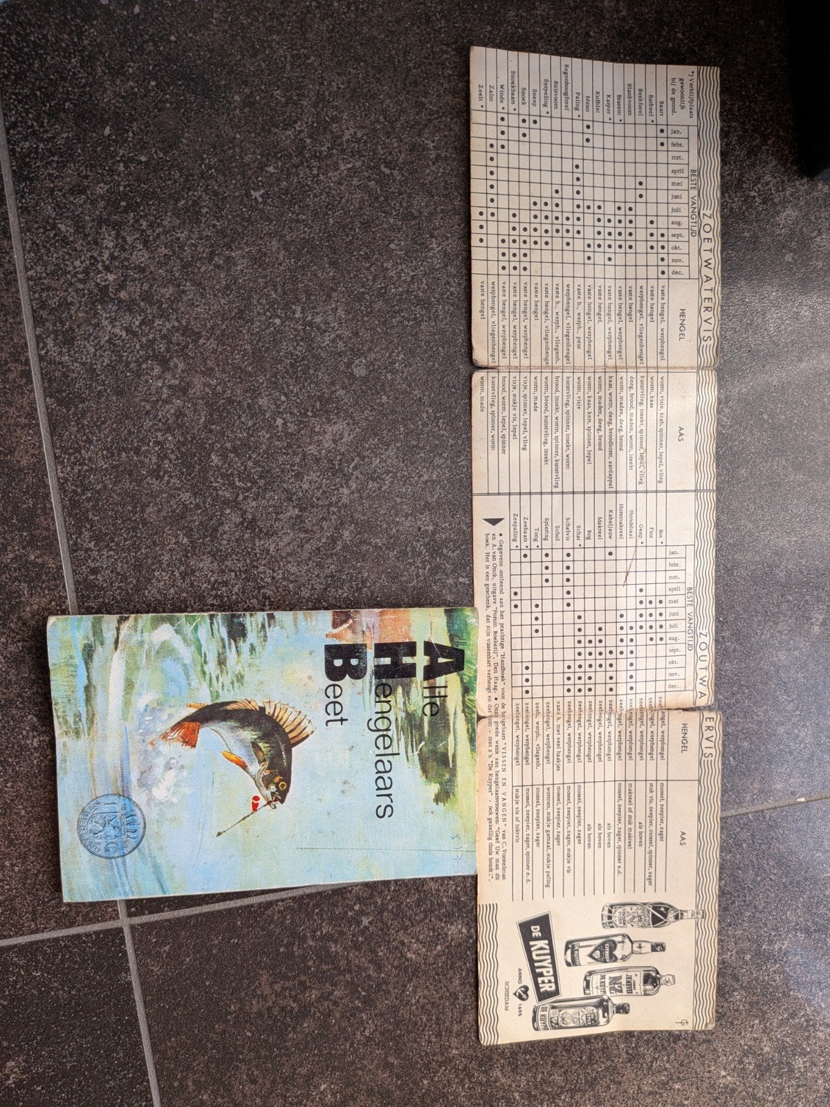 vissers boekje uit 1966 met vis kaart, Ophalen of Verzenden, Gebruikt