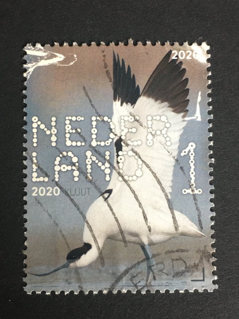 2755 Nederland 2020 NVPH 3856 Beleef Kustvogels, Kluut - ges, Postzegels en Munten, Postzegels | Nederland, Ophalen of Verzenden