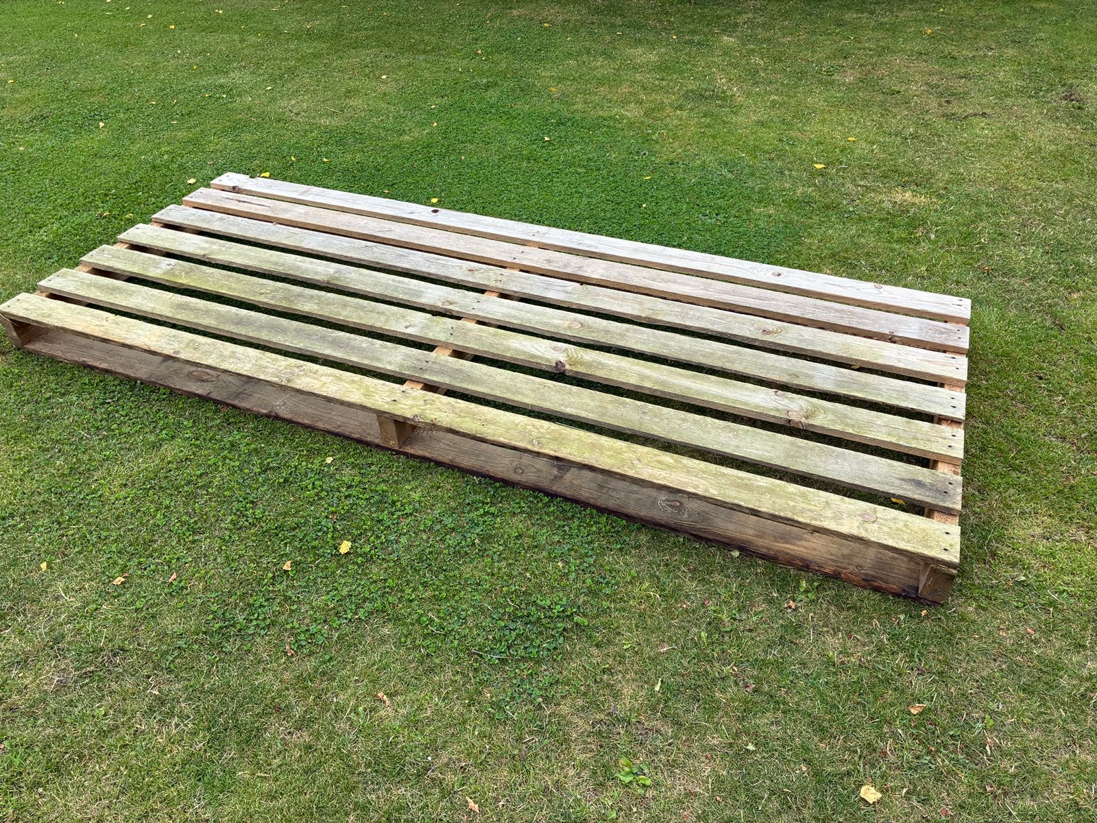 Gratis groot pallet 250x100, Ophalen, Zo goed als nieuw, 50 mm of meer, Minder dan 200 cm