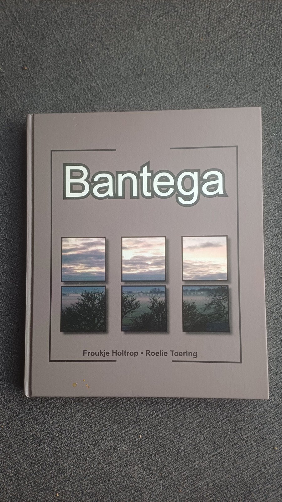 Bantega  (Hardcover), Ophalen, 20e eeuw of later, Zo goed als nieuw, Froukje Holtrop, Roelie Toering