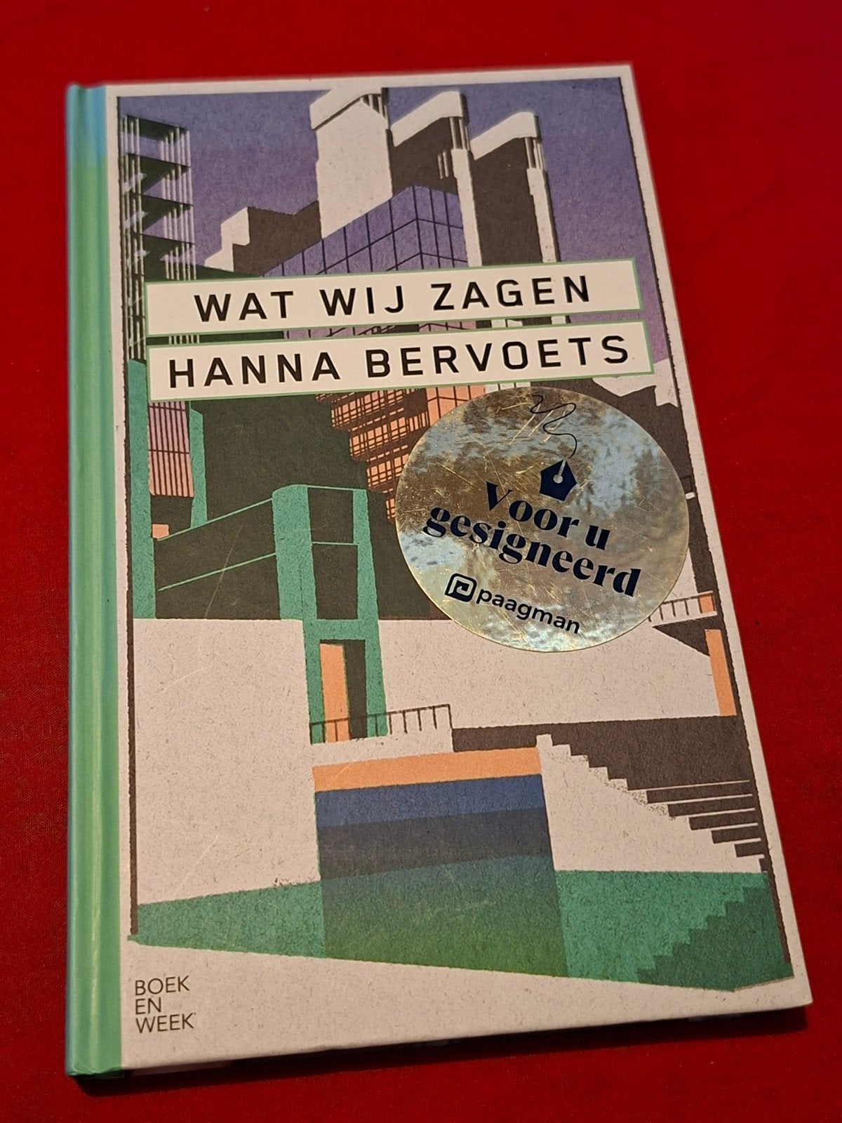 GESIGNEERD Wat wij zagen. Hanna Bervoets. 2021, Ophalen of Verzenden, Gelezen
