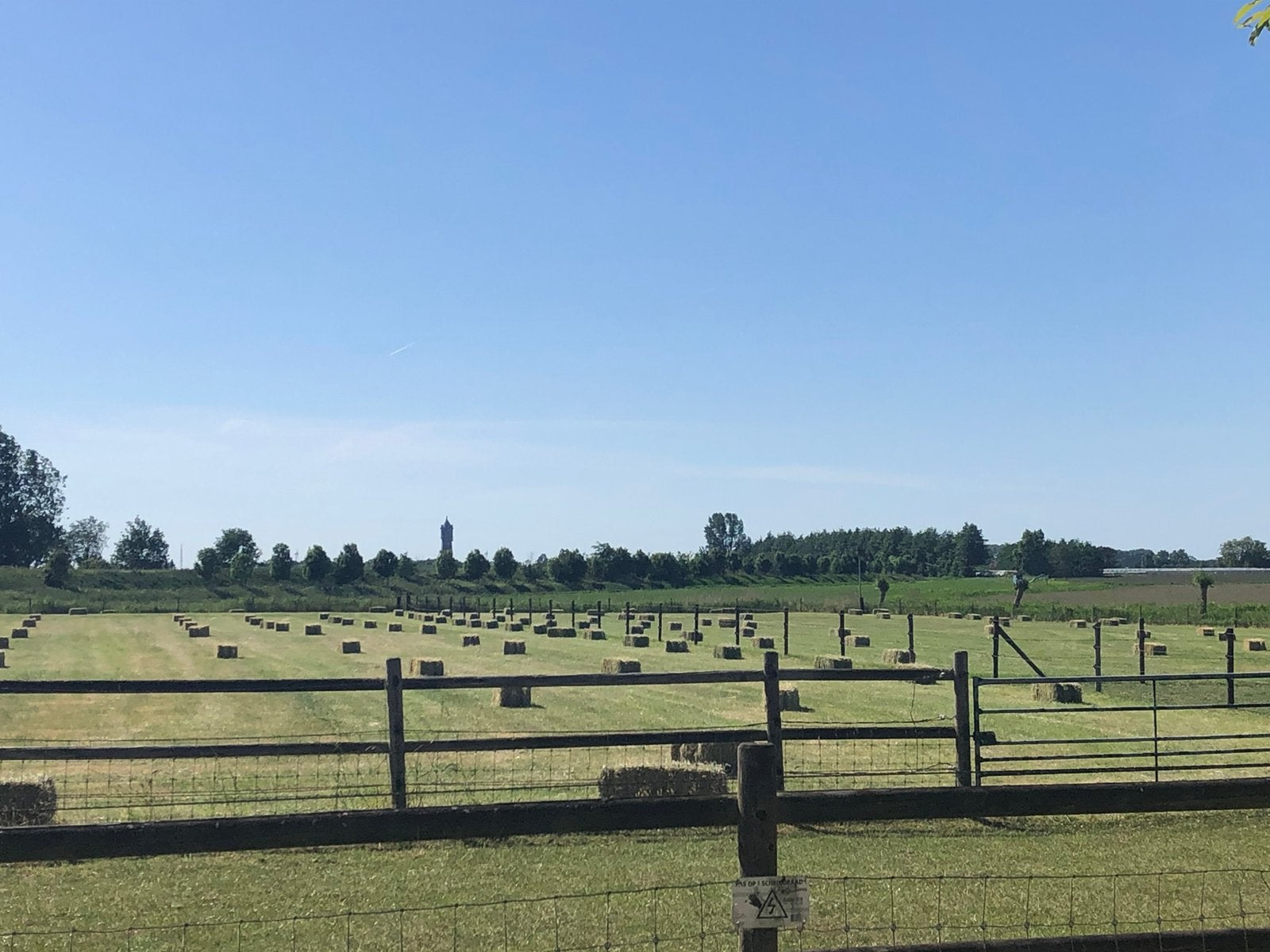 Hooi te koop, Dieren en Toebehoren, Ophalen, Vee