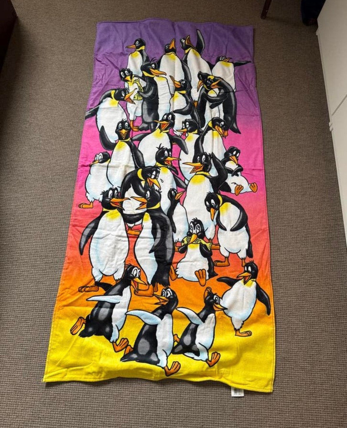 Stranlaken pinguins, Ophalen of Verzenden, Nieuw, Overige typen