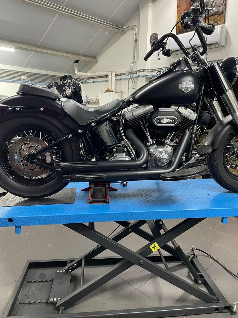 Uitlaatsysteem Harley Davidson, Ophalen of Verzenden