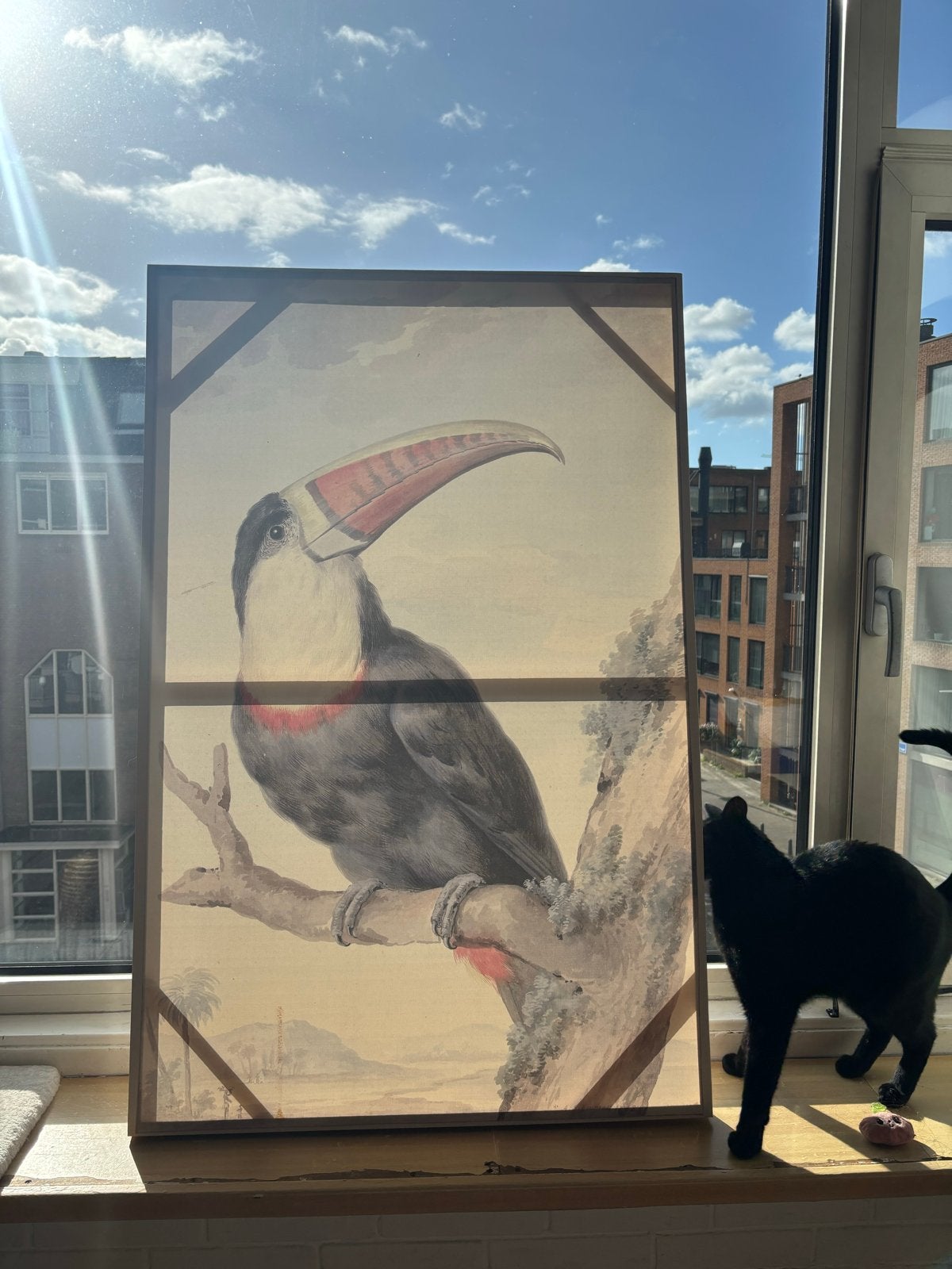 Schilderij/print toekan 115x75 cm, Antiek en Kunst, Ophalen, Print, Dieren, Doek