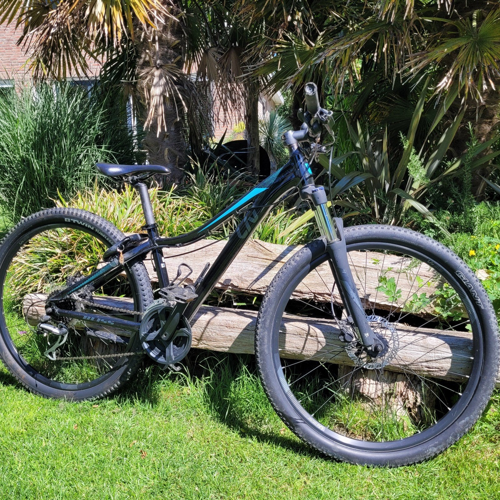 Liv Bliss 26 inch mountainbike, Fietsen en Brommers, Fietsen | Mountainbikes en ATB, Gebruikt, Ophalen of Verzenden, Schijfrem